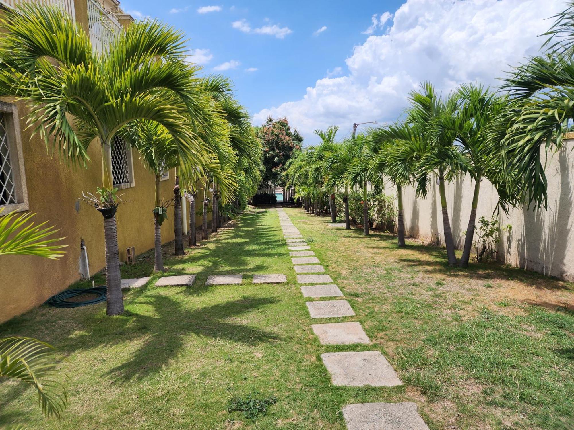 Sweet Oasis Bed & Breakfast Kingston Bagian luar foto